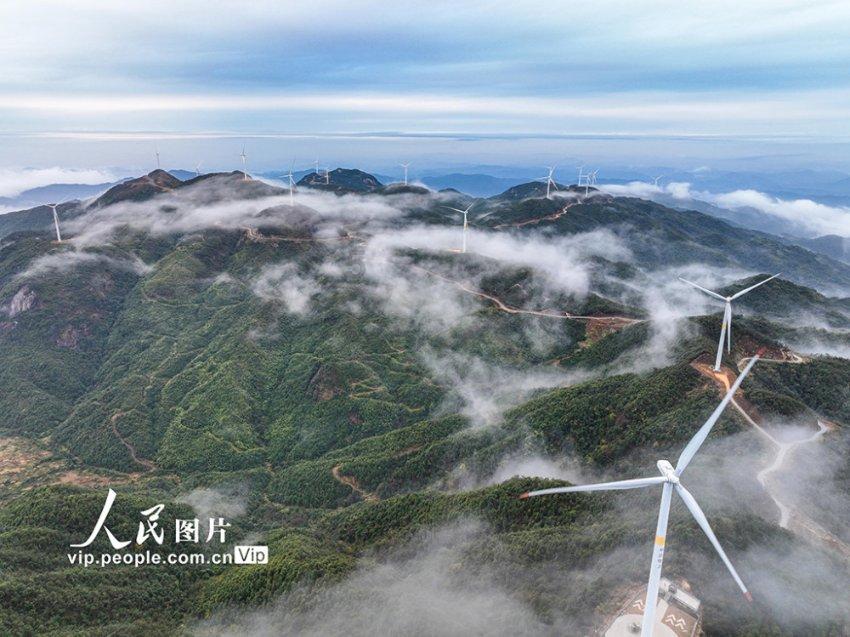 自发粉和白面掺一块行吗，自发粉和白面掺一块行吗？